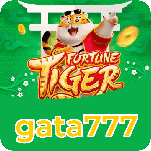 Dealers profissionais da gata777